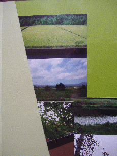 ディープ・フォレスト(Deep Forest)のイメージ4